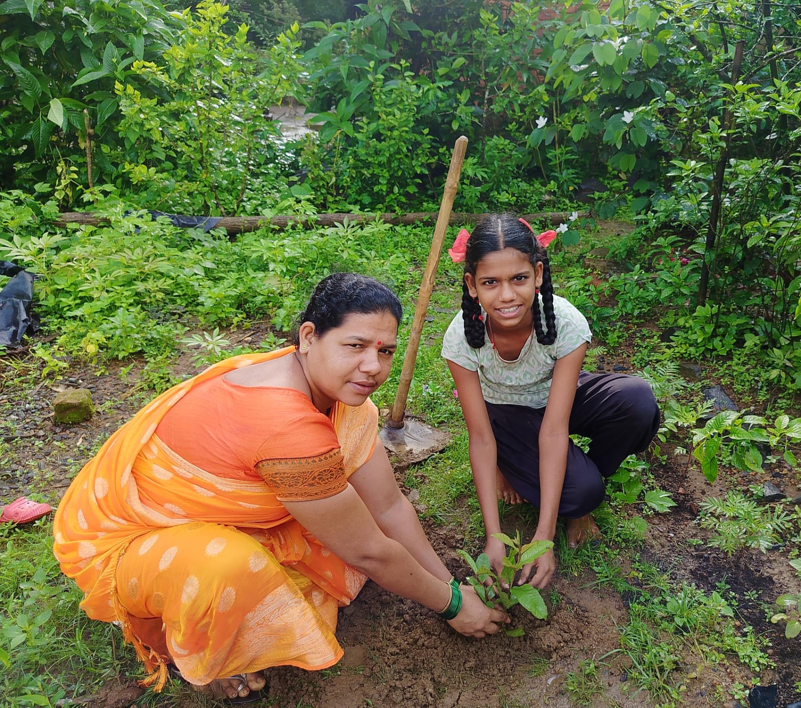 वृक्ष लागवड व वृक्ष संवर्धन